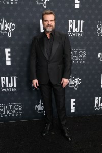 David Harbour at the 30th Annual Critics Choice Awards held at The Barker Hangar on February 7, 2025 in Santa Monica, California.