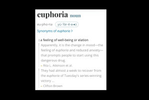 Euphoria music video